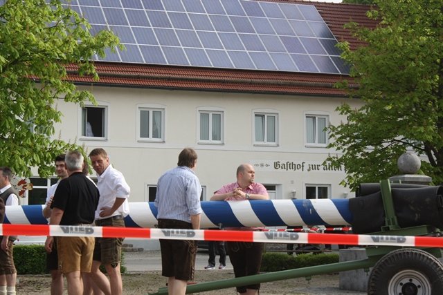 Maibaum 2013